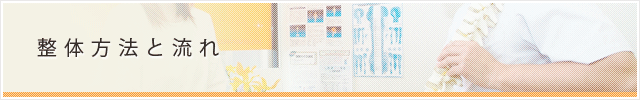 整体方法と流れ